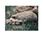Glen Oak Zoo from Epinions.com