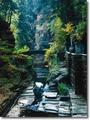Treman State Park