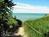 Pigeon Creek Inn::BedAndBreakfast.com