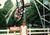 Opryland::ThrillNetwork.com