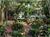 Siesta Key Bungalows::ProfessionalTravelGuide.com