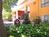 County Inn::ProfessionalTravelGuide.com