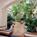 Embassy Suites Hotel San Francisco-Airport/Burlingame::Priceline.com