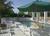 Hawthorn Suites Arlington::Orbitz