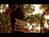 The Lodge on Little St. Simons Island::TripAdvisor