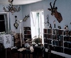 Ernest Hemingway Home and Museum