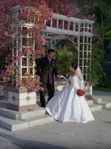 Web-1329_image7