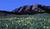 Boulder Broker Restaurant::Yahoo! Travel