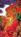 Mccoy's Inn And Conference Center::Expedia