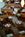 Holiday Inn Atlanta-Decatur::Orbitz