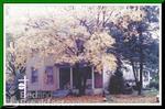 TLC Bed & Breakfast and Wellness Center