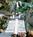 The Buttes, A Marriott Resort::Priceline.com