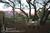 Ojai Retreat::BedAndBreakfast.com