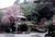 Deetjens Big Sur Inn::VirtualTourist