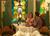 Austria Hof Lodge::Orbitz