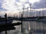 Moss Landing::Lyddia mezzano santacruz
