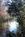 Holiday Inn Express Hotel & Suites Tavares::Orbitz