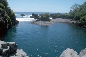 Waikoa Pond::PBase