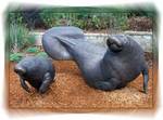 Columbus Zoo and Aquarium