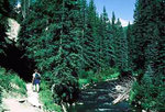 Tn-utah-hiking-candland