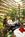 Embassy Suites Seattle - Tacoma International Airport::Expedia