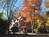 Brook Farm Inn::Yahoo! Travel