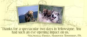 Yellowstone Safari Co::Yellowstone Safari Company