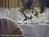 Holiday Inn Hotel & Suites Boston - Peabody::Priceline.com