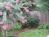 The Greenwood Bed and Breakfast::BedAndBreakfast.com