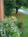 Stratton Inn::BedAndBreakfast.com