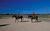 Pacific Dunes Ranch and RV Park::ReserveAmerica.com