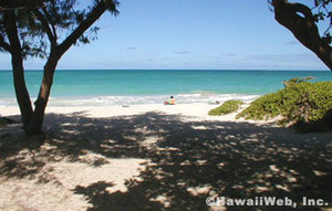 Kalama Beach::Hawaiiweb