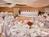 Ramada Minneapolis N W & Water Park::Priceline.com