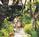 Outrigger Keauhou Beach Resort::Orbitz