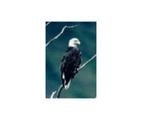 Alaska Peninsula National Wildlife Refuge