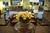Best Western Turtle Brook Inn::Priceline.com