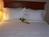 Holiday Inn Express Valparaiso::Priceline.com