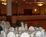 Holiday Inn Hotel & Suites Boston - Peabody::Priceline.com