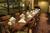 Holiday Inn Wilsonville::Orbitz