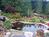 A Hidden Haven & Water Garden Cottages::BedAndBreakfast.com