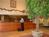Holiday Inn Express Edison::Priceline.com