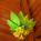Inn at Cannon Beach::Expedia