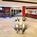 Marriott Baltimore Inner Harbor at Camden Yards::Orbitz