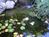 End of Money Road Bed and Breakfast::TripAdvisor