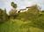 Loma Vista Bed and Breakfast::TripAdvisor