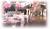 Blue Cypress Hotel::Orbitz