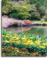 Jasmine Hill Gardens and Outdoor Museum::Alabamatravel.org