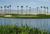 Resort at Indio::Hotels.com