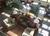 Drury Inn And Suites Houston The Woodlands::Orbitz