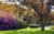 Best Western Framingham::Expedia